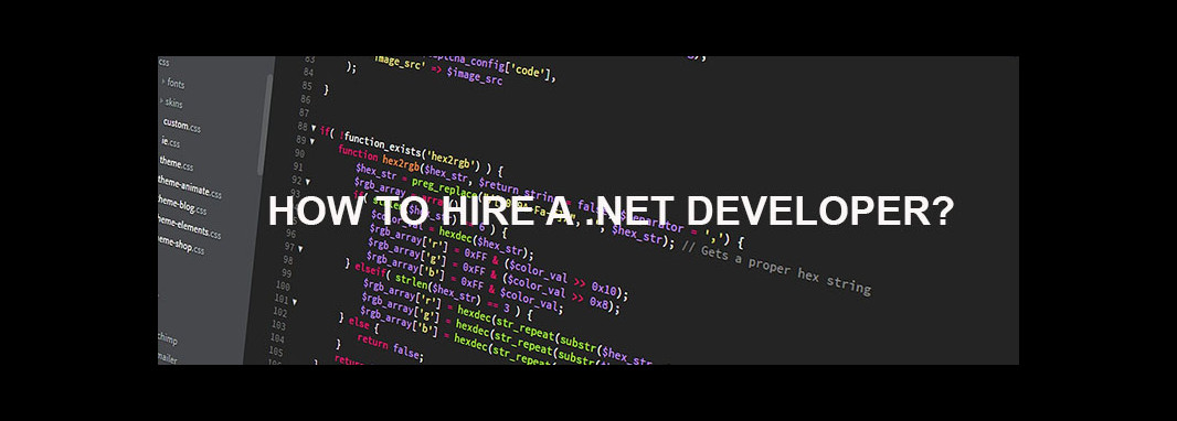 How to Hire a .NET Developer?